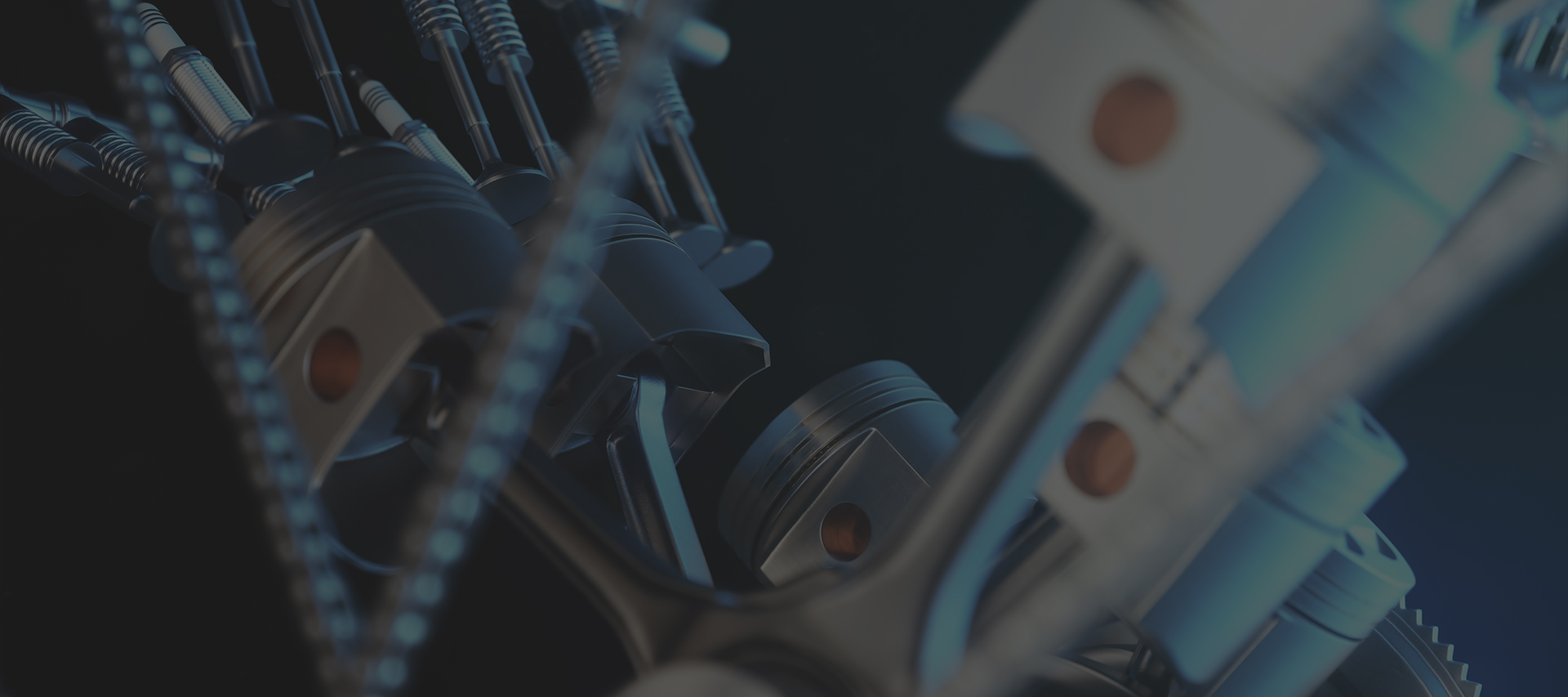 banner1
